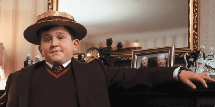 Harry Potter Muggle Characters Ranked From Most Heroic To Most Villainous Harry Potter Muggle Characters Ranked From Most Heroic To Most Villainous